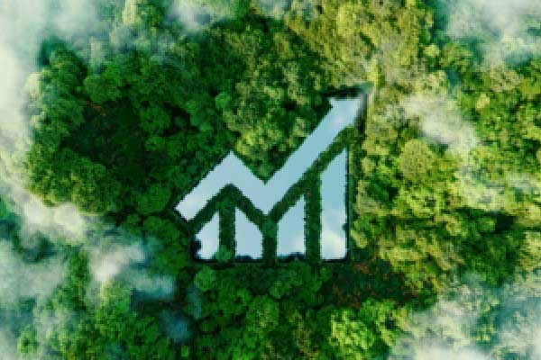 澳大利亚央行会议纪要显示未来宽松步伐将取决于数据